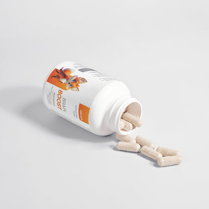 VAVIDA Brain Boost Nootropics